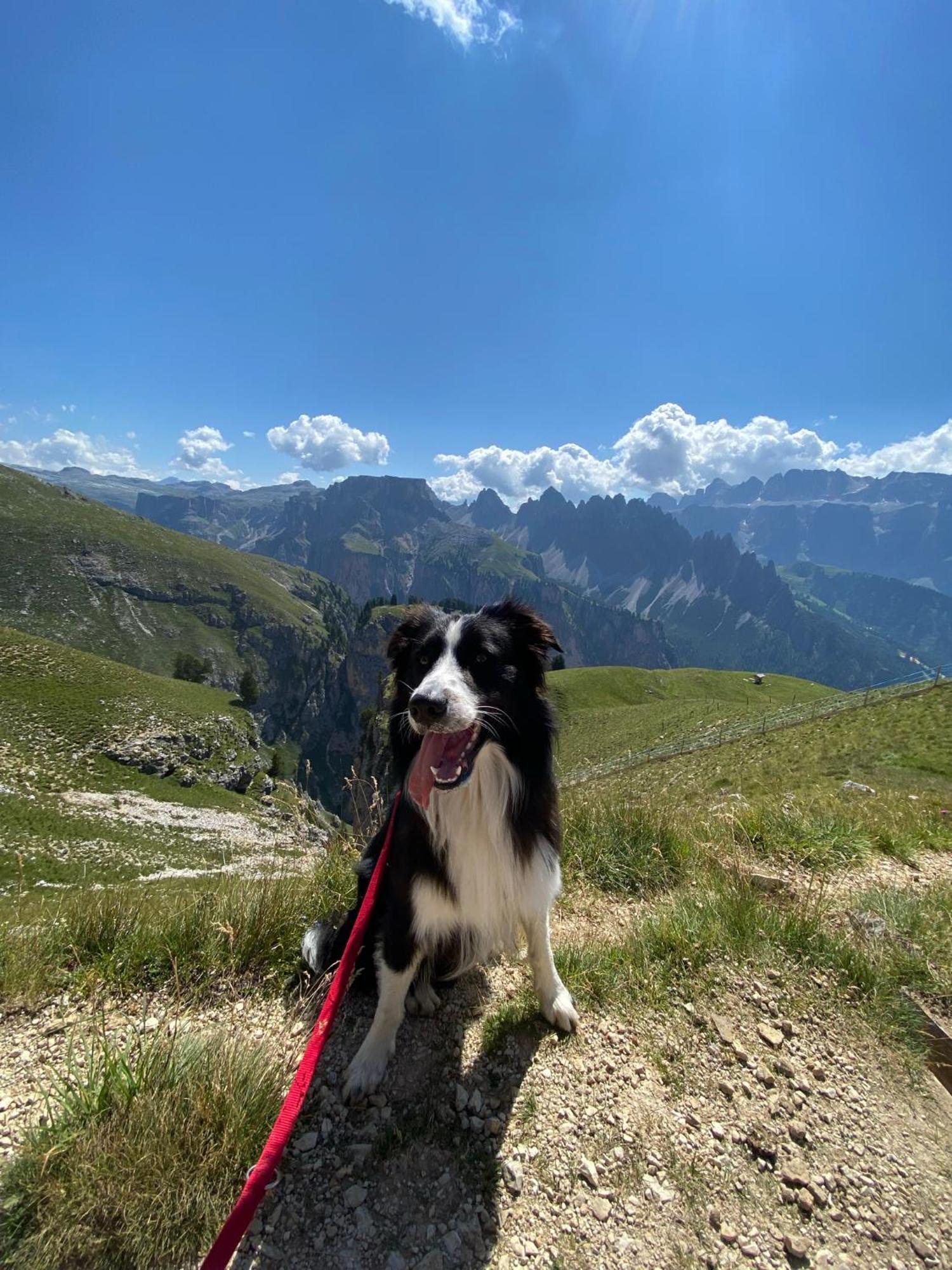 Appartamento Nido Selva di Val Gardena Exterior foto
