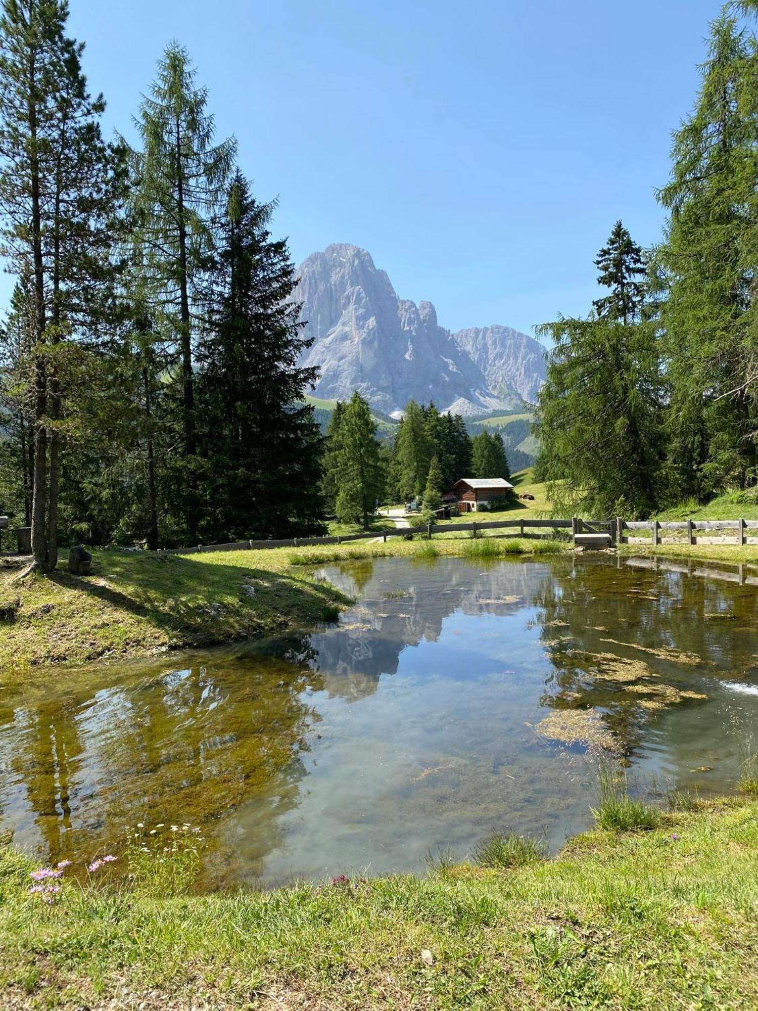 Appartamento Nido Selva di Val Gardena Exterior foto